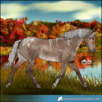 Horse Color:Powder White White Spotted Silver Brown Dun
