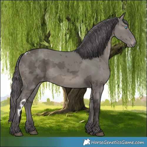Horse Color:Smoky Grullo Merle Skewed Appaloosa 