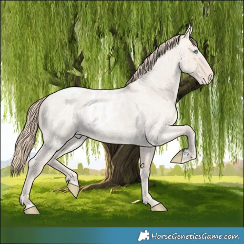 Horse Color:Perlino Roan Dun Merle Skewed Appaloosa 