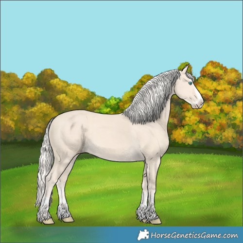 Horse Color:Cremello Splash and Cremello Splash