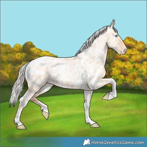 Horse Color:Silver Amber Champagne Pearl Dun Tobiano Appaloosa Rabicano  and Silver Amber Champagne Pearl Dun Tobiano Appaloosa Rabicano 