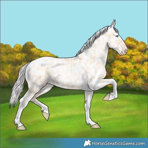 Horse Color:Silver Amber Champagne Pearl Dun Tobiano Near Leopard Rabicano  and Silver Amber Champagne Pearl Dun Tobiano Near Leopard Rabicano 