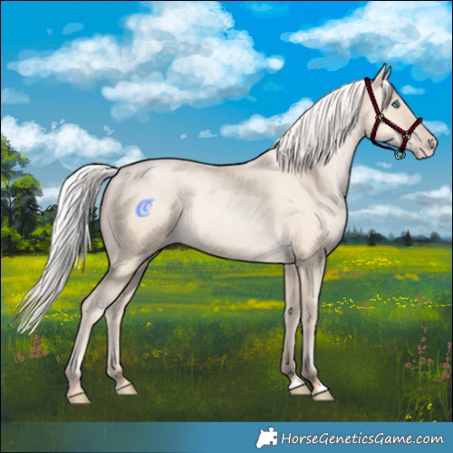 Horse Color:Silver Amber Cream Champagne Pearl 