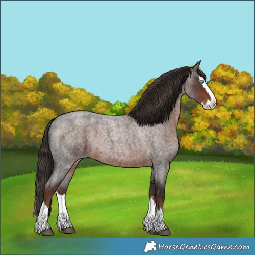 Horse Color:Liver Red Roan Splash 