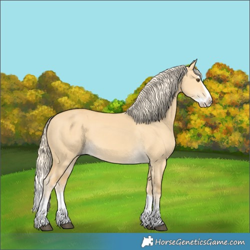 Horse Color:Palomino Dun Splash