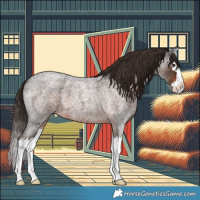 Horse Color:Liver Red Roan Splash 