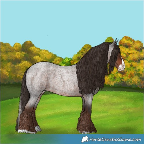 Horse Color:Liver Red Roan Splash 