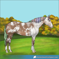 Horse Color:Painted White Spotted Silver Brown Dun