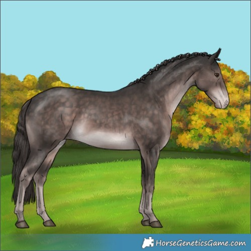 Horse Color:Platinum White Spotted Liver Chestnut Appaloosa