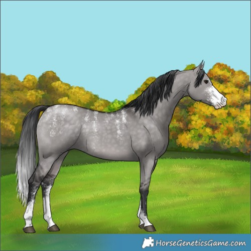 Horse Color:Powder White Platinum Brown Dun Sabino 