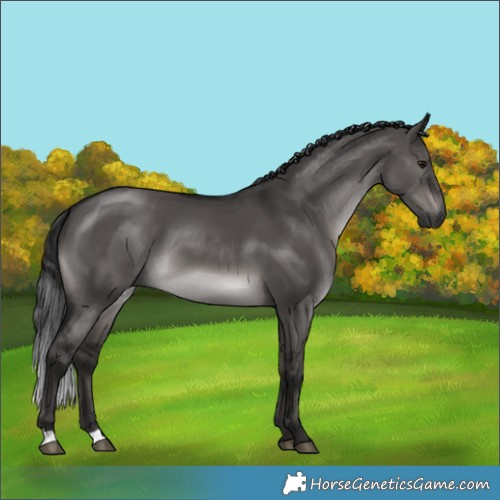 Horse Color:Gray Platinum Brown Dun 
