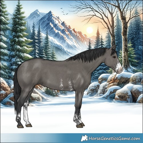 Horse Color:Platinum Grullo Sabino