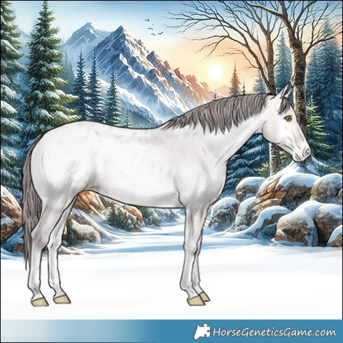 Horse Color:Platinum Amber Cream Champagne Onyx Tobiano Blanket 