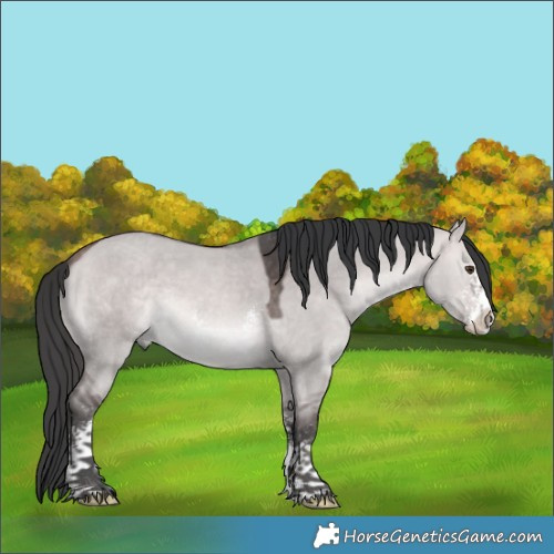 Horse Color:Platinum Bay Dun Sabino 