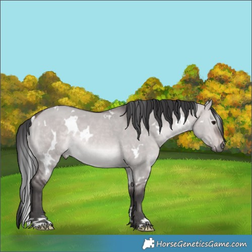 Horse Color:Platinum White Spotted Brown Dun 