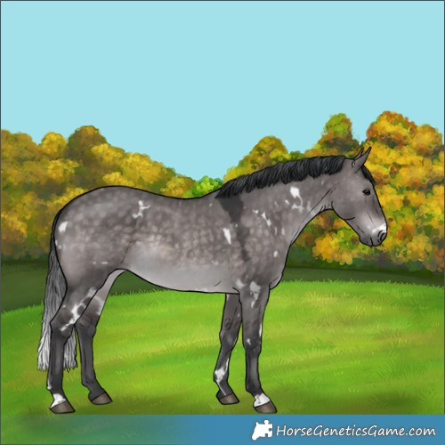 Horse Color:Platinum White Spotted Brown Dun 