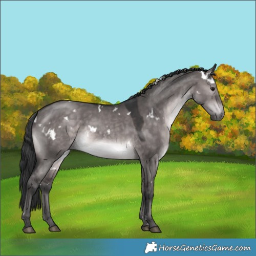 Horse Color:Platinum White Spotted Brown Dun Rabicano 