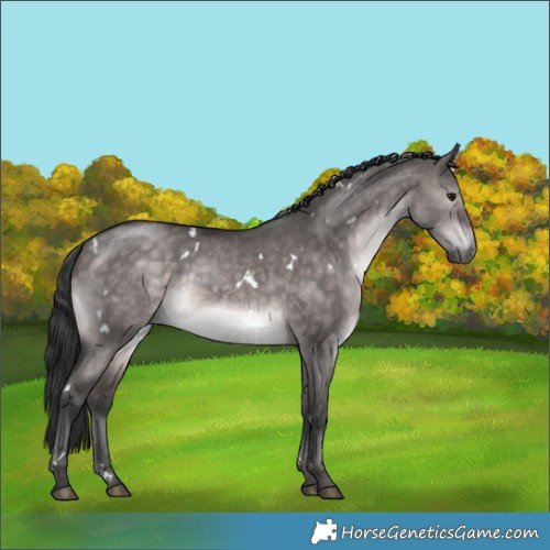 Horse Color:Platinum White Spotted Brown Dun 