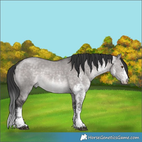 Horse Color:Platinum White Spotted Brown Dun 