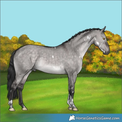 Horse Color:Platinum White Spotted Brown Dun Tobiano 
