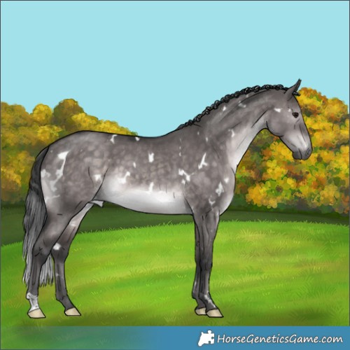 Horse Color:Platinum White Spotted Brown Dun 