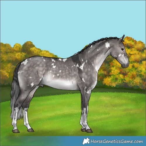 Horse Color:Platinum White Spotted Brown Dun 