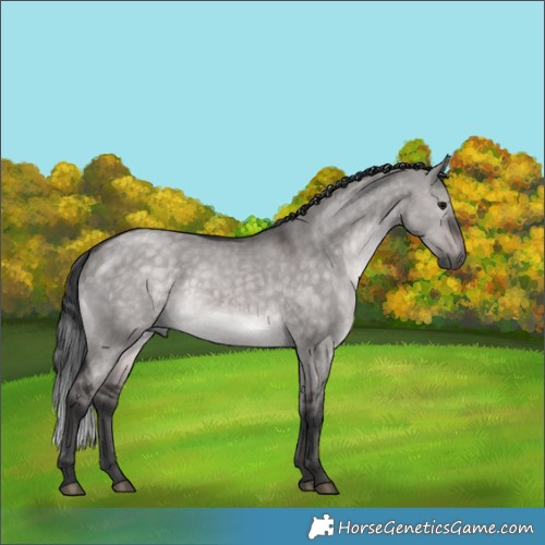 Horse Color:Platinum Brown Dun 
