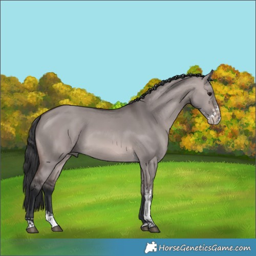 Horse Color:Platinum Brown Dun Sabino 