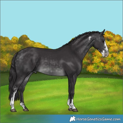 Horse Color:Platinum Buckskin Sabino