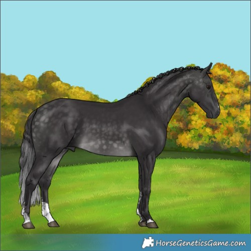 Horse Color:Platinum Buckskin Sabino 