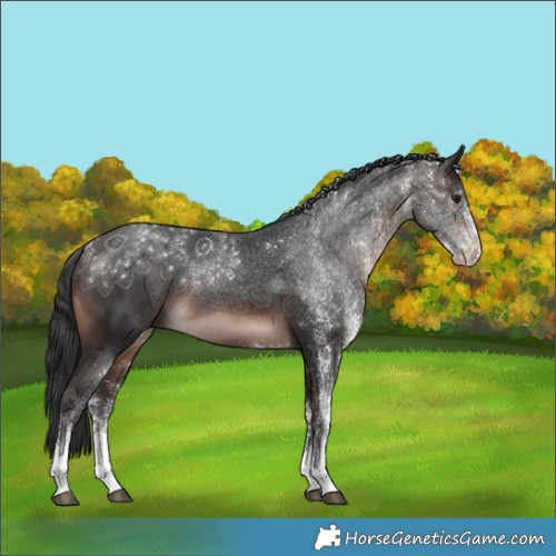 Horse Color:White Spotted Brown Mushroom 