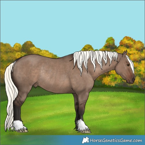 Horse Color:Liver Red Dun Mushroom Rabicano