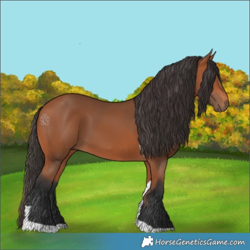 Horse Color:Bay Tobiano 