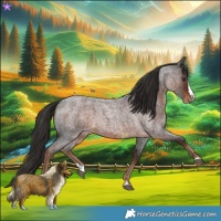 Horse Color:Liver Red Roan Splash