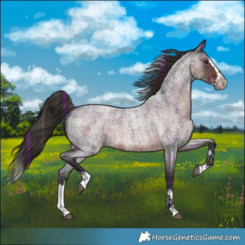 Horse Color:Plaid  Liver Red Roan Splash 