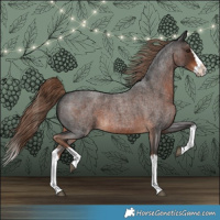 Horse Color:Liver Red Roan Splash 