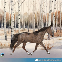 Horse Color:Liver Red Dun Brindle 
