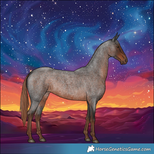 Horse Color:Liver Red Roan 