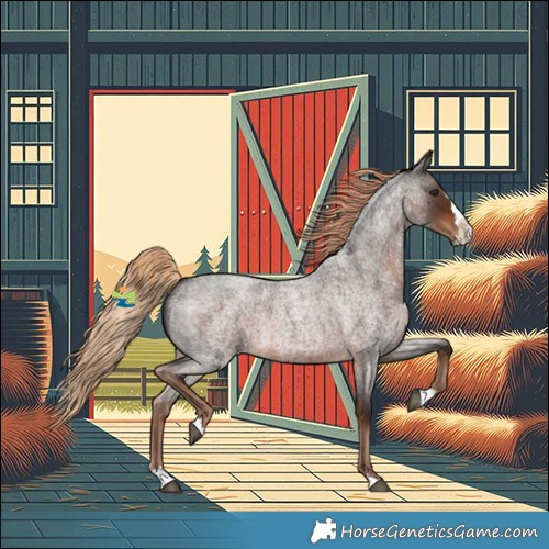 Horse Color:Liver Red Roan Splash 