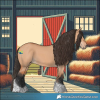 Horse Color:Bay Dun Tobiano 
