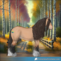 Horse Color:Bay Dun Tobiano 