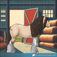 Horse Color:Bay Dun Tobiano 