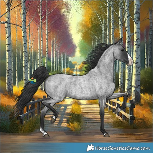 Horse Color:Blue Roan Splash 
