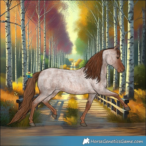 Horse Color:Red Roan 