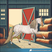 Horse Color:Red Roan 