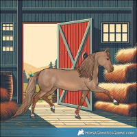 Horse Color:Red Dun 