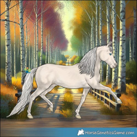 Horse Color:Cremello 