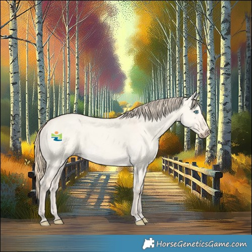 Horse Color:Perlino Dun 