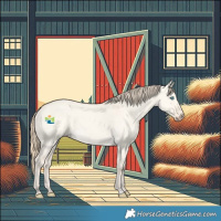 Horse Color:Perlino Dun 