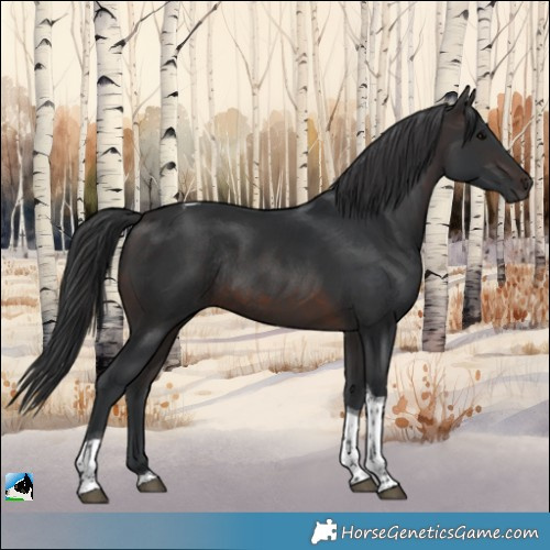 Horse Color:Brown Tobiano Rabicano